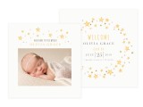 Sweet Stars Newborn Album